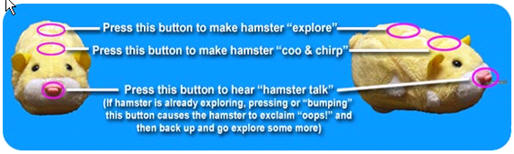 Usage of zhu zhu hamster